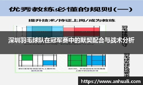 365WM完美体育官网