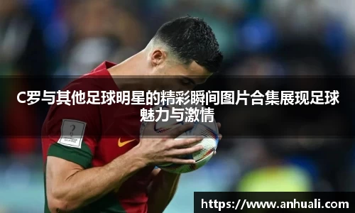 365WM完美体育官网