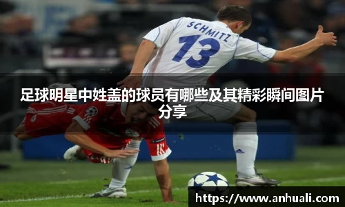 365WM完美体育官网